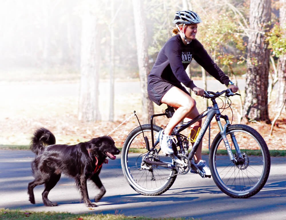 8 consejos para pasear en bicicleta con tu perro